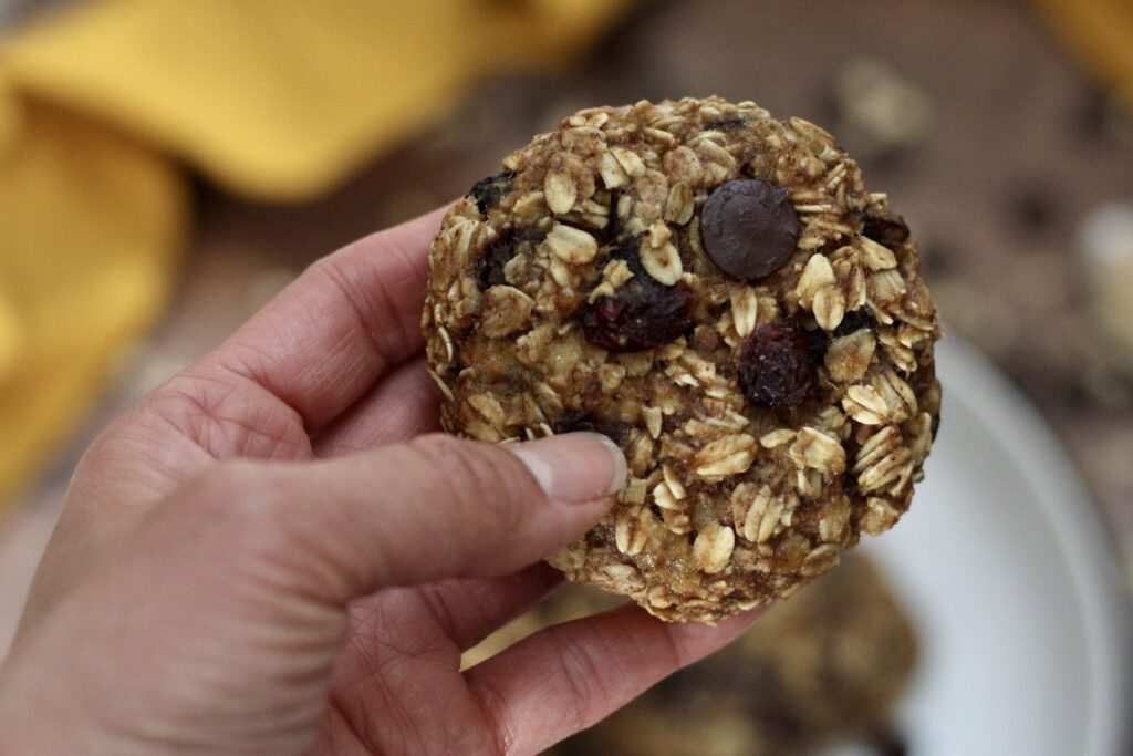 Oatmeal cookie held
