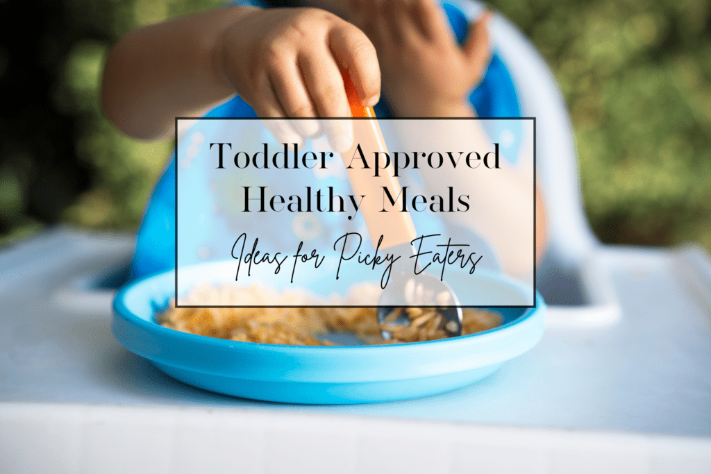 Toddler Approved Healthy Meals