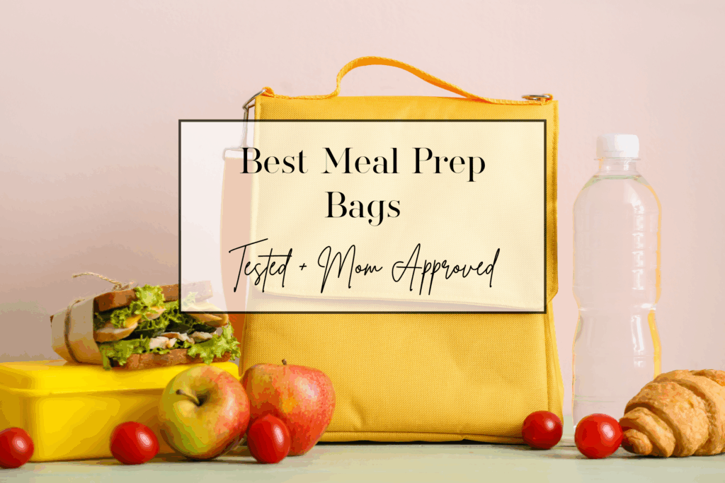 Best Meal Prep Bags